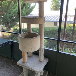 Cat Condo  FREE