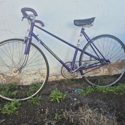 Vintage Purple PEUGOT Drips W Character