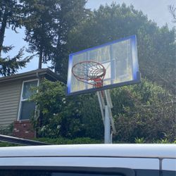 Basketball Hoop Adjustable Free