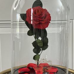 🌹✨ Enchanted Rose in Glass Dome ✨🌹