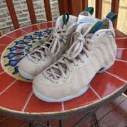 Nike foamposites size 9.5