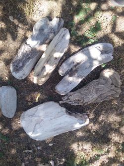 6 Natural Driftwood Pieces For Terrariums Aquariums Decor