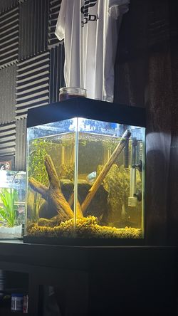 Fish tank