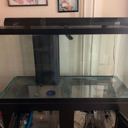 90 gallon tank