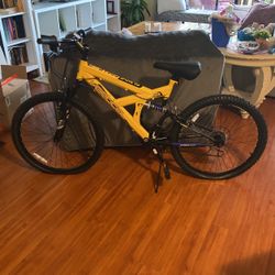 Alpine eagle 24 Bike