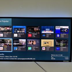 65 Inch Samsung TV