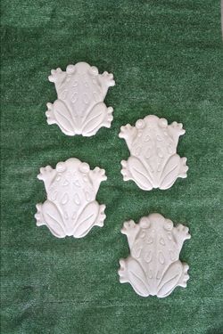 Frog Stepping Stones Concert