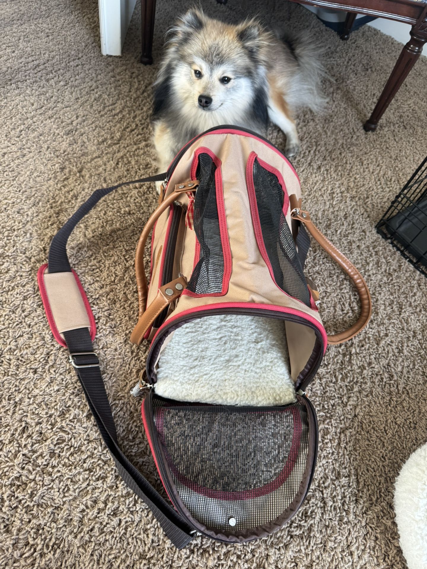 Sherpa Dog Cat Pet hand/shoulder bag