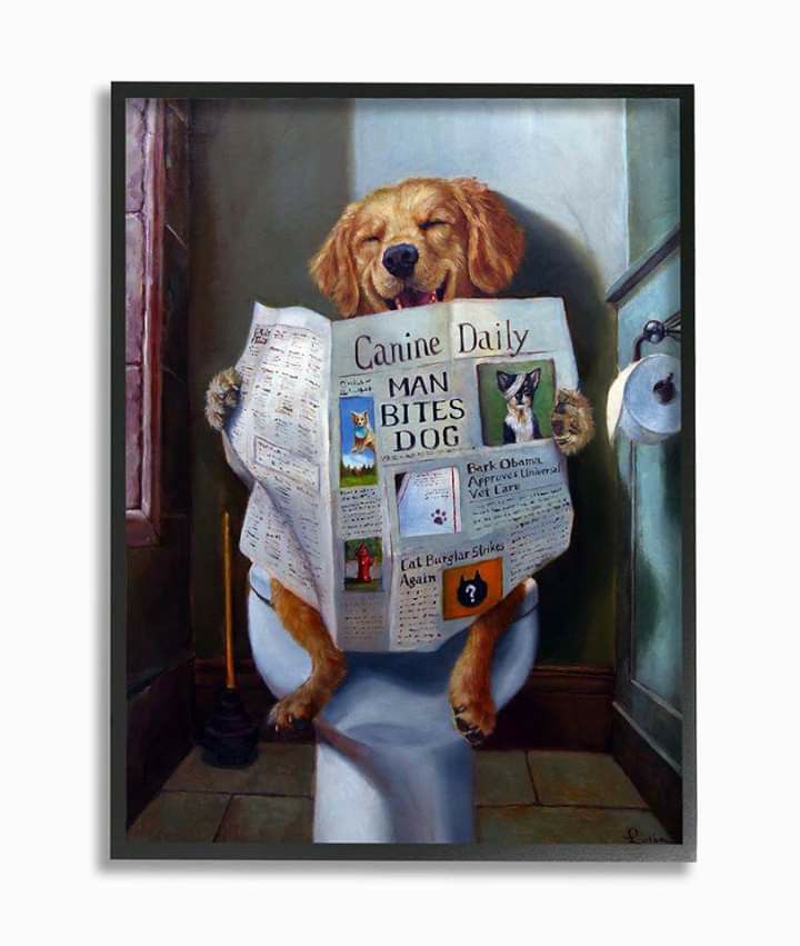 The Stupell Home Decor Collection Dog Reading the Newspaper On Toilet Funny Painting Framed Giclee Texturized Art, 11 x 1.5 x 14 1 available $10