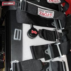 G-Force 5-Point Pro-Series Camlock Harness Set - Pull-Down