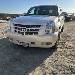 Cadillac SUV