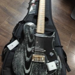 PRS SE NF53 dog hair color in excellent condition