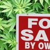 see my profile for cannabis*