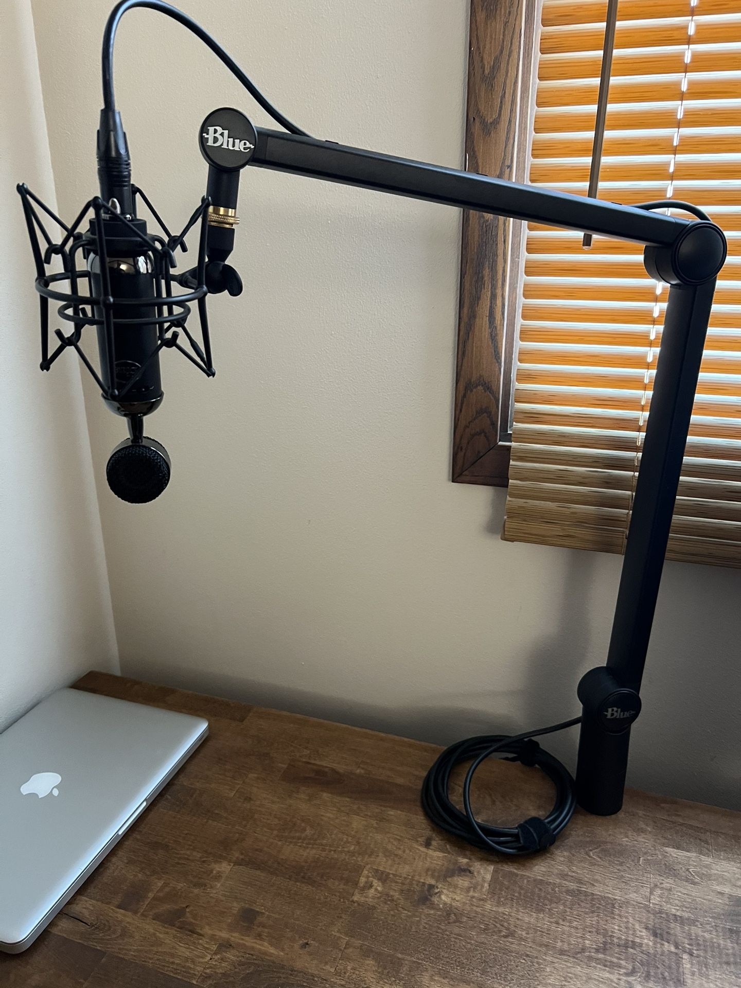 Blue Professional microphone and stand