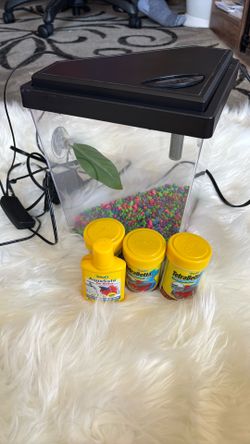 One gallon betta fish tank