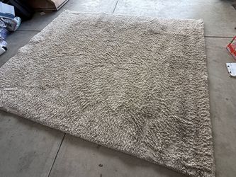 Beige Shag Area Rug