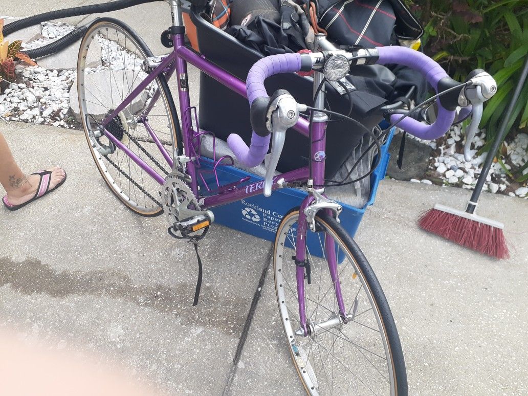 Vintage 90's Georgena Terry Symmetry 26" 22" Road Bike