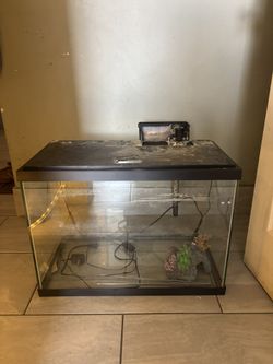 Fish Tank