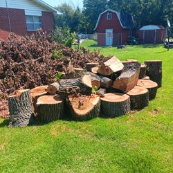 FREE LOGS