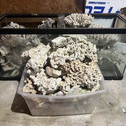 Saltwater Rock And Corals