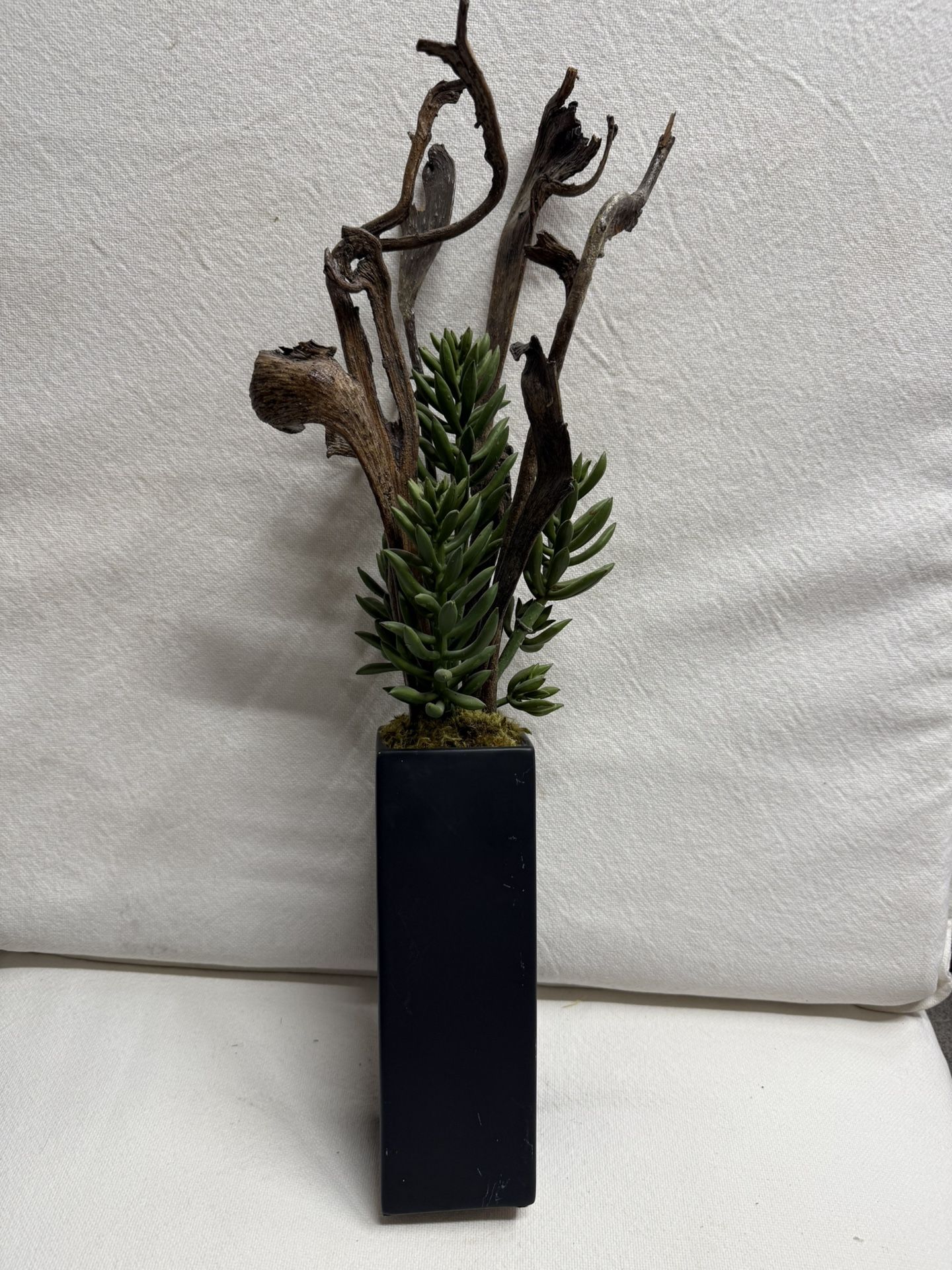 Driftwood & Succulent Vase