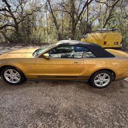 2010 Ford Mustang