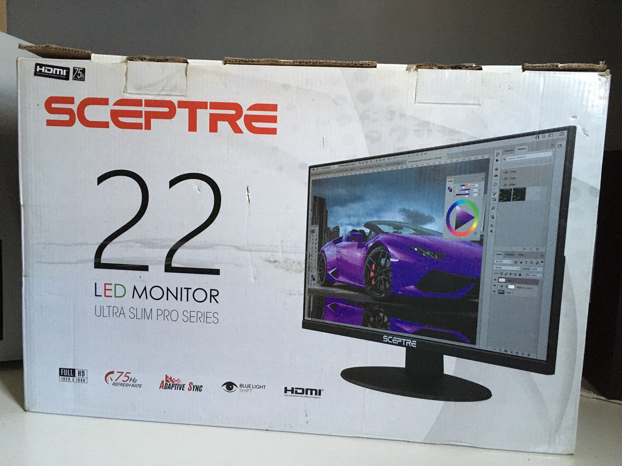 22 inch 1080p monitor Sceptre