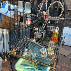 Se Vende Jaula Para Cacatúas O Perico 