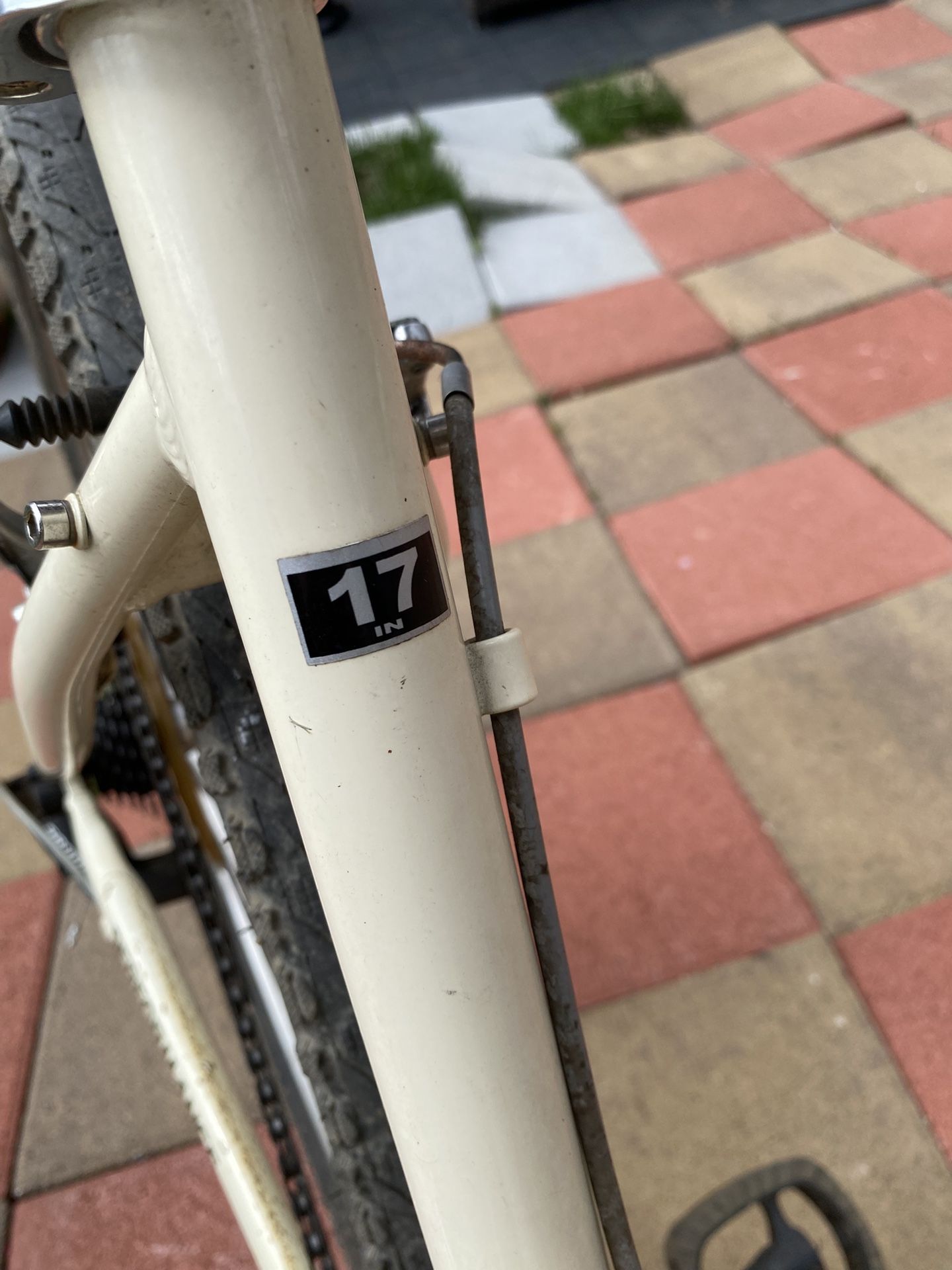 Mountain Bicycle