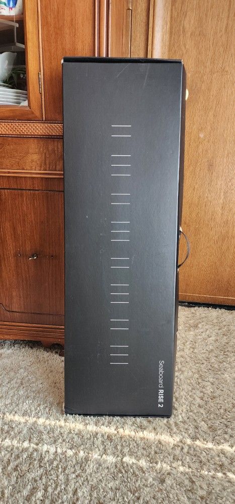 Roli Seaboard Rise 2