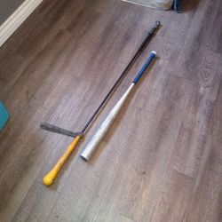 Baseball bat and hitting stick