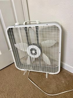 Fan