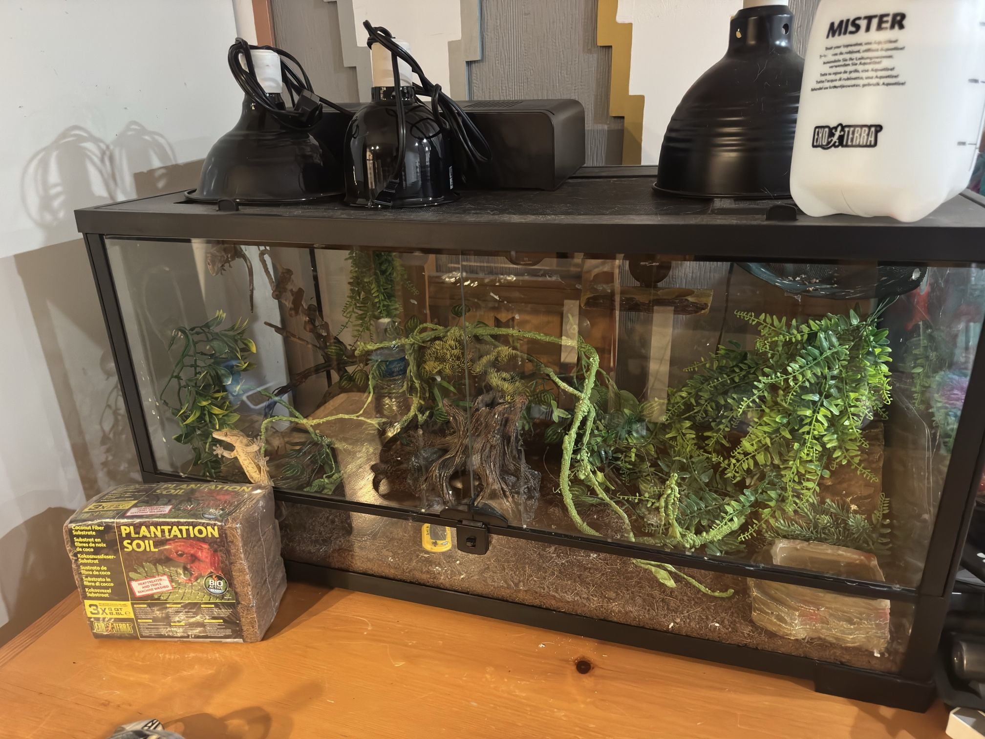Gecko Enclosure