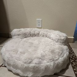 Pet Bed 