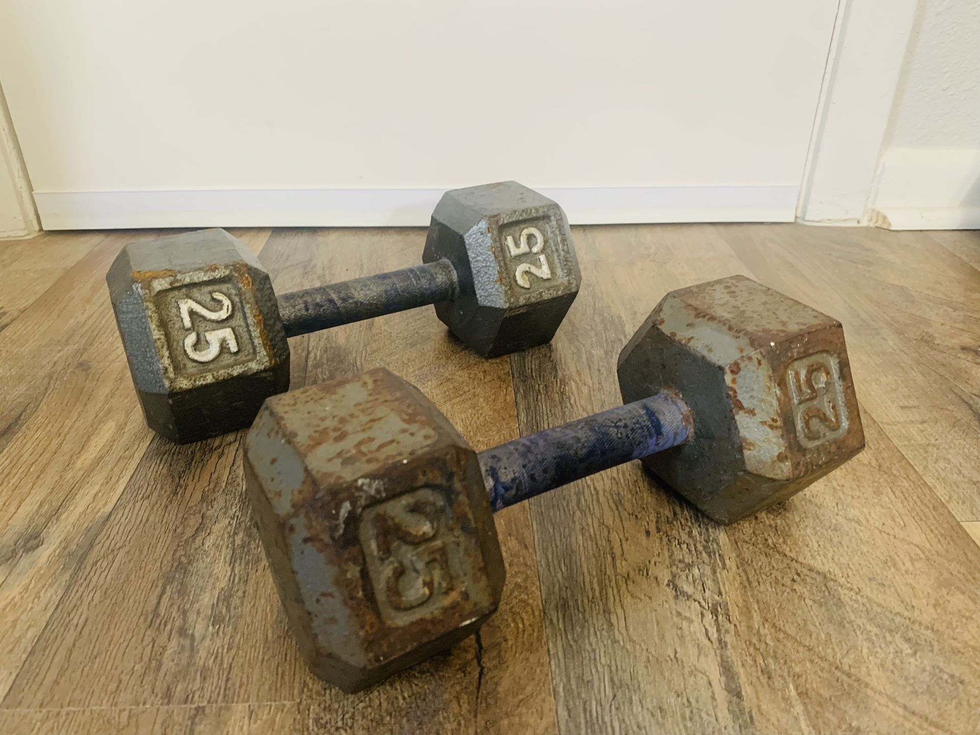 25lb Pair Dumbbells
