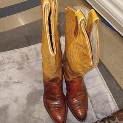 DAN POST Cowgirl Boots Size 5
