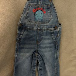 Embroidered Overalls 
