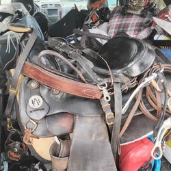 Horse Saddle  Bona Allen Saddle Co.