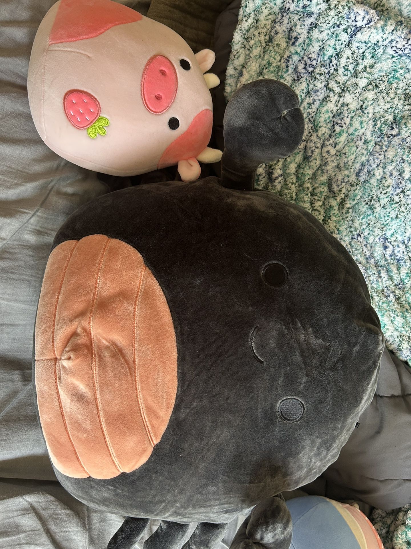 Pig and Scorpion Squishmallows