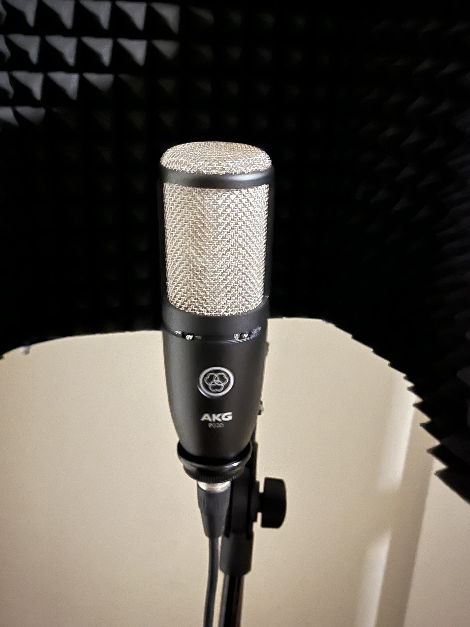 Akg P220 Condenser Mic
