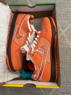 Nike dunk sb