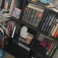 Cubicle Book Shelf $25 