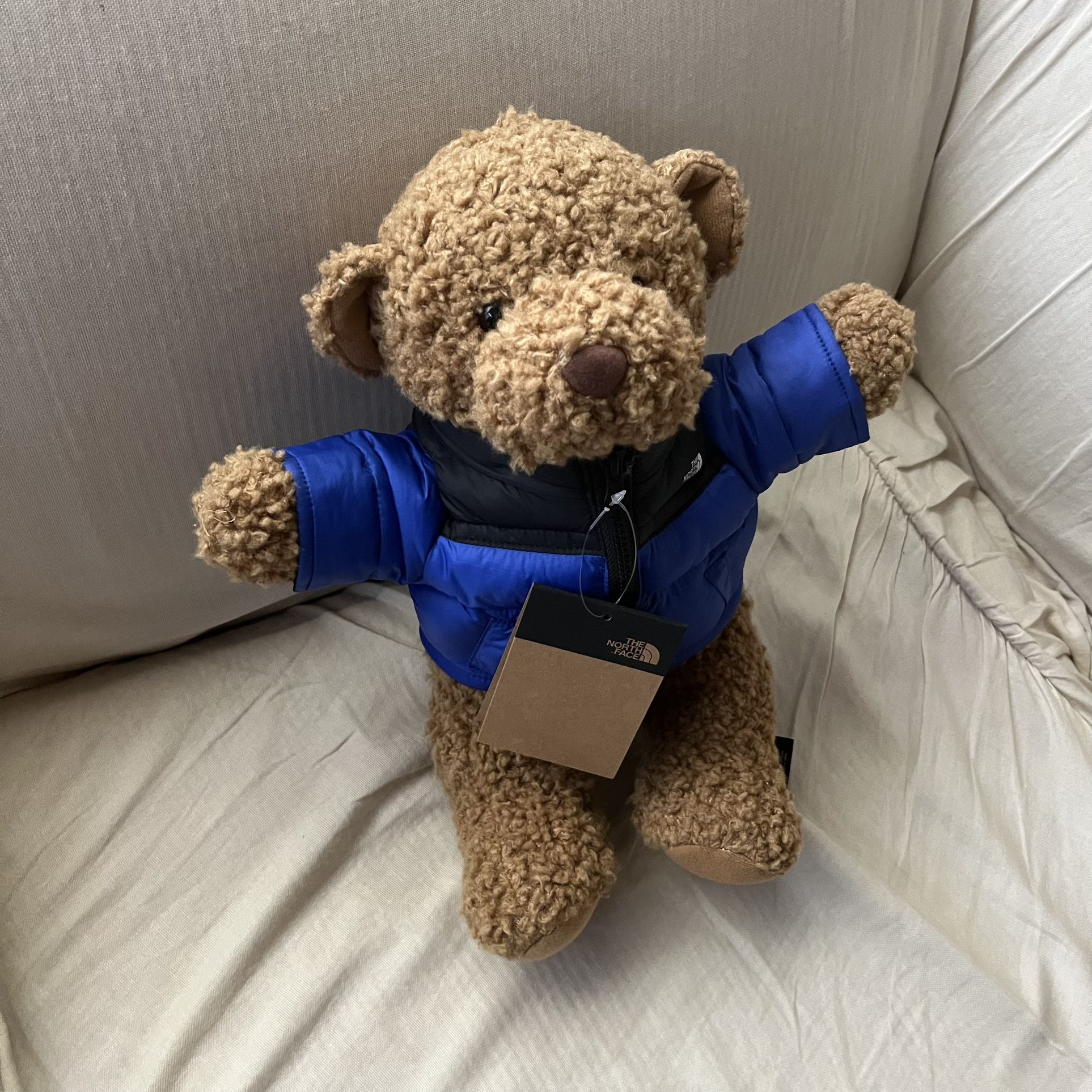 The North Face Teddy Bear Nuptse Jacket Blue 30th Anniversary New