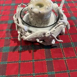 Drift Wood Candle Holder