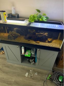 65 gallon fish tank and stand with everything