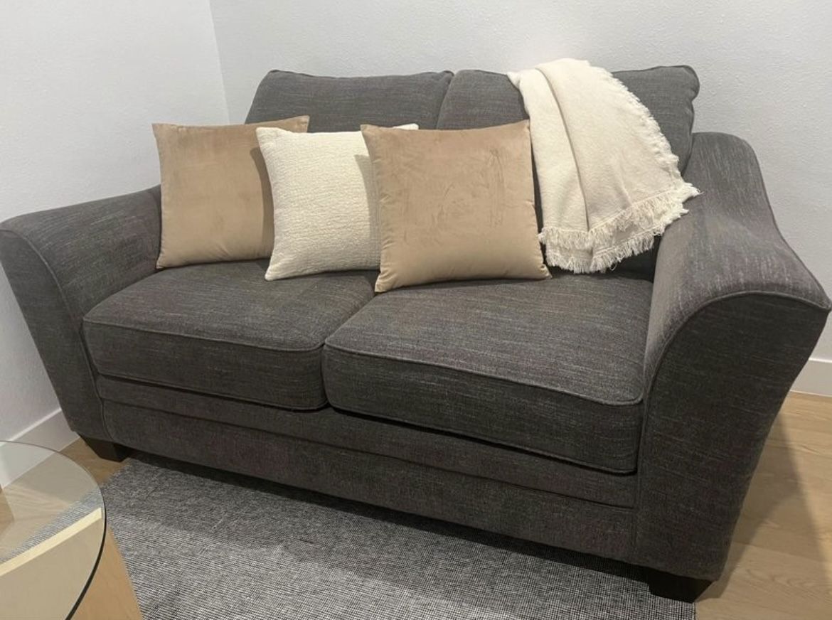 Modern Loveseat Sofa Sets, Gray