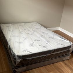 Queen Mattress And Box 