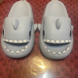 Sharks, Slides Size 7 1/2