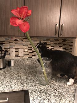 Decorative flower and vase