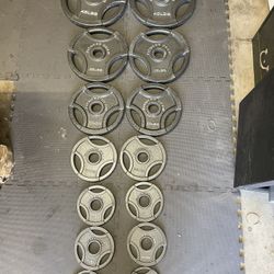 Olympic Weight Plates.           200 Dollars 